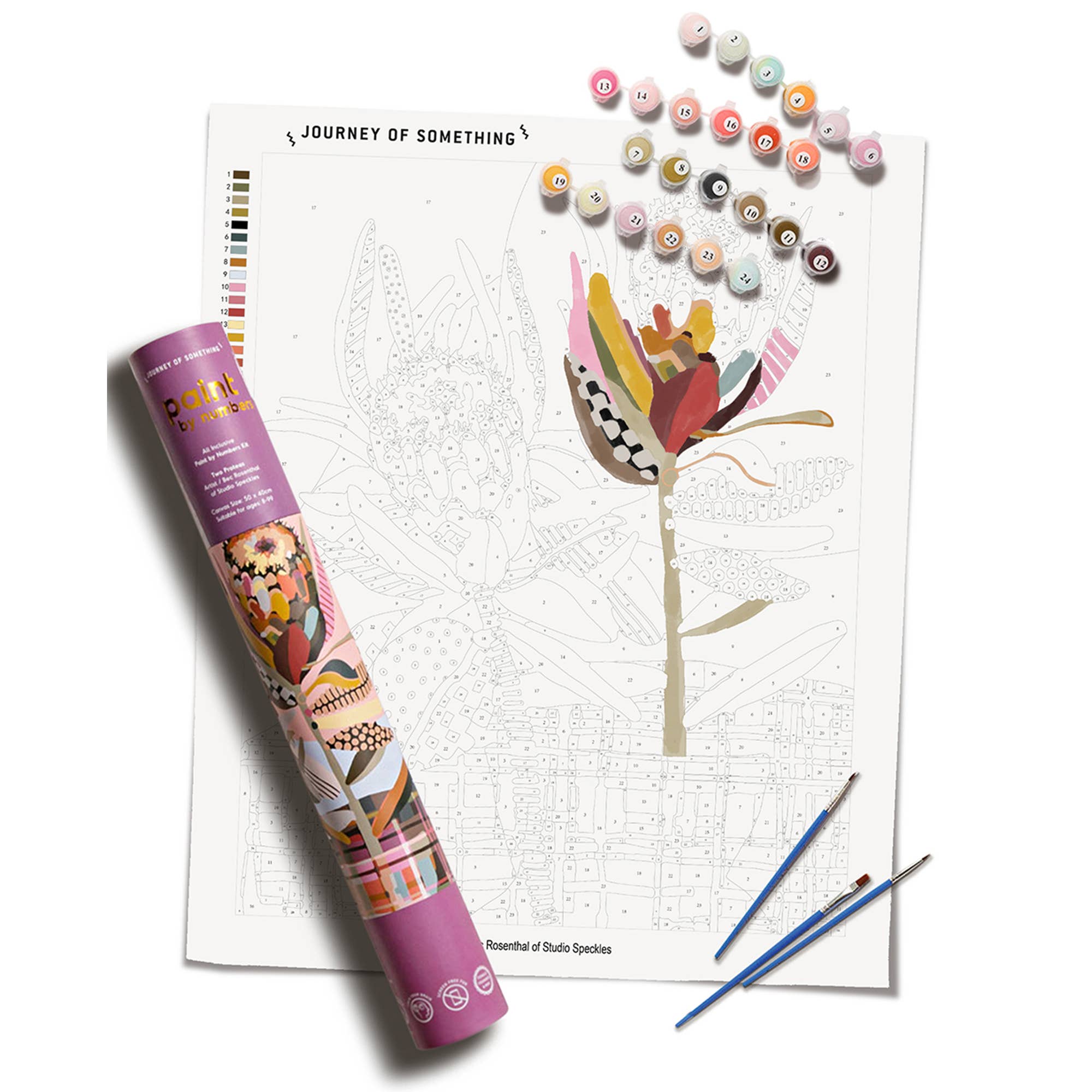 Two Proteas - Paint by Numbers Kit