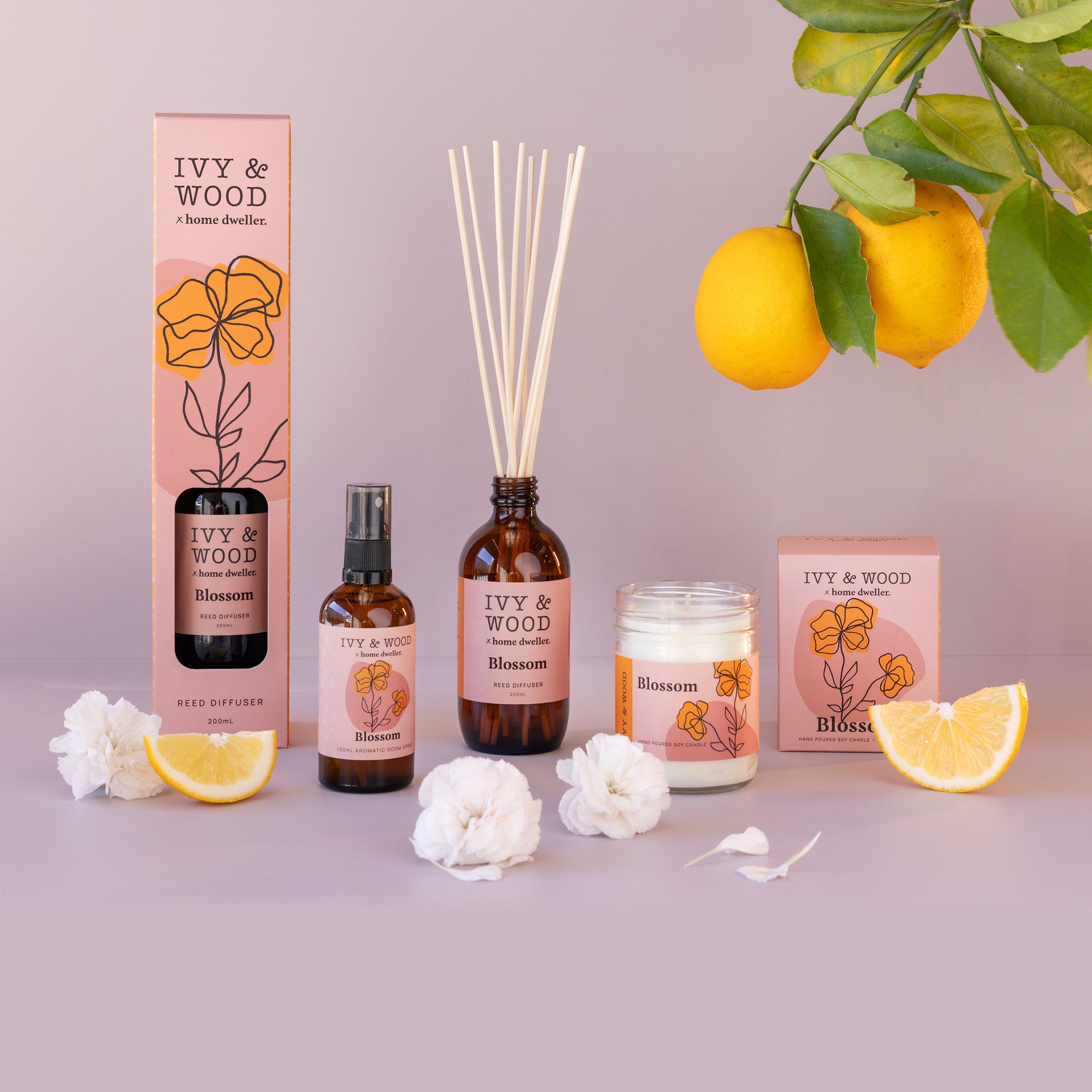 Homebody: Blossom Scented Candle - Ivy & Wood