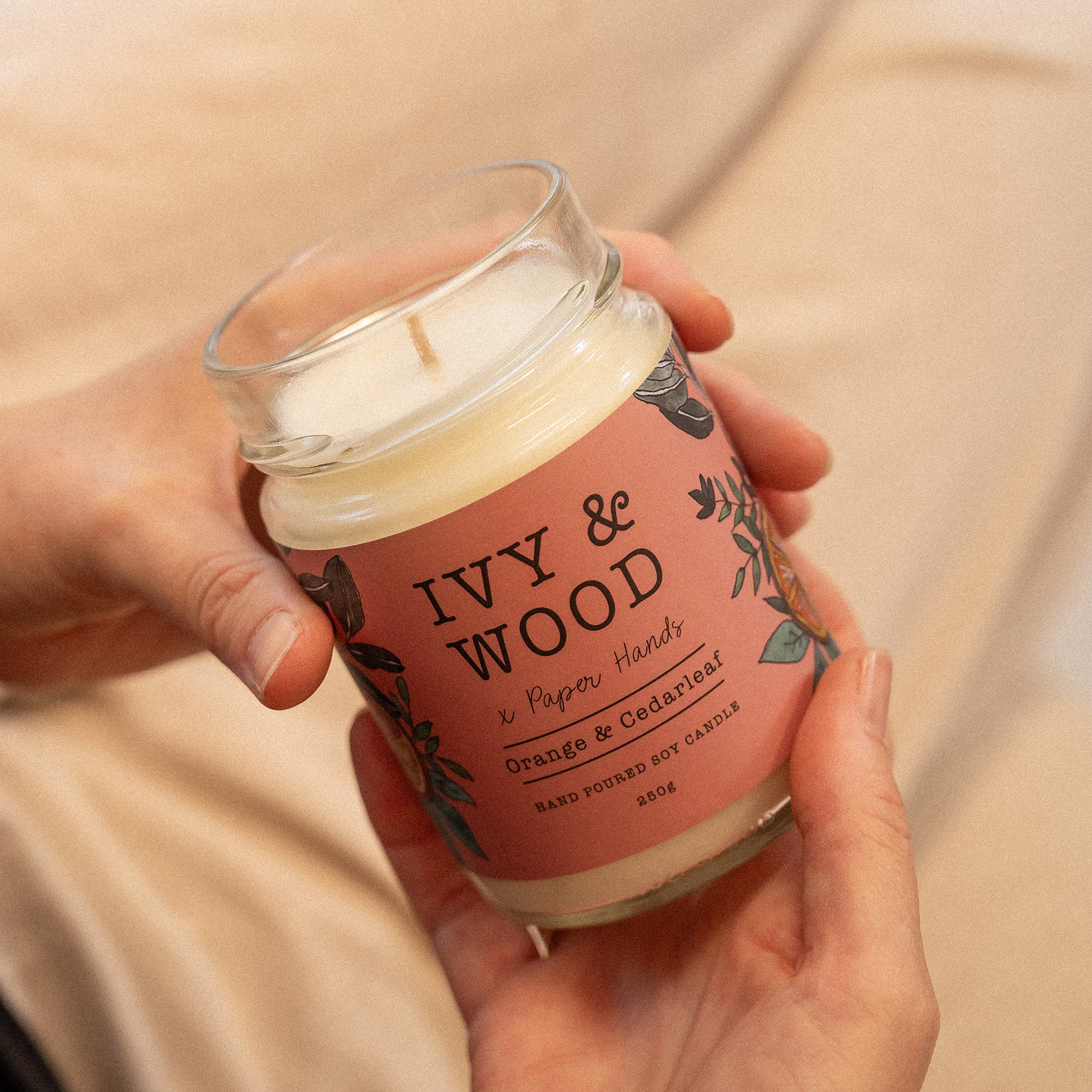 Complete Botanical Candle Bundle - Ivy & Wood