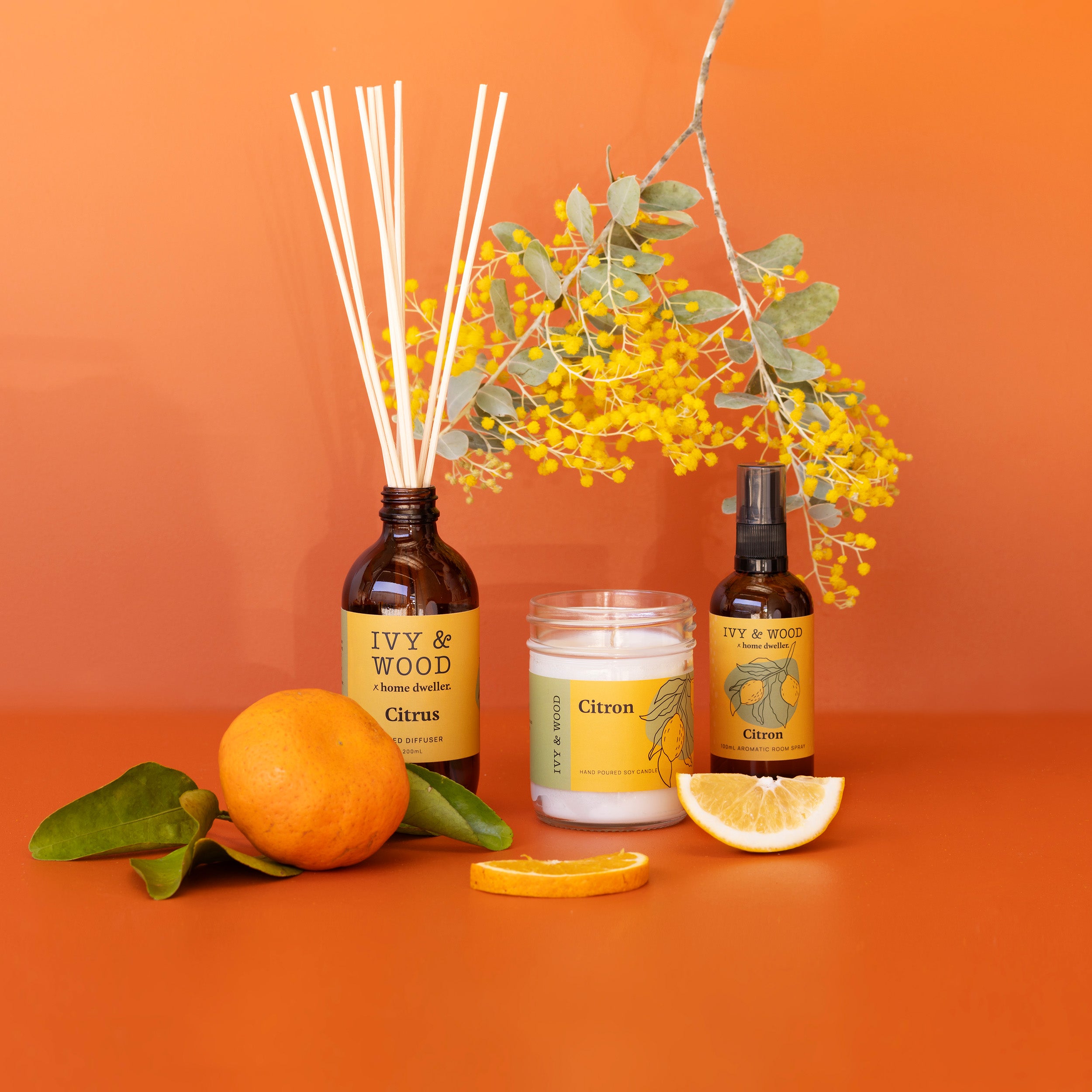 Homebody: Citron Room Spray - Ivy & Wood