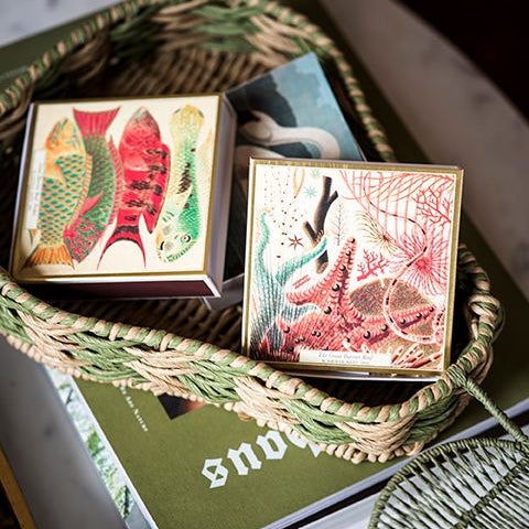 Great Barrier Reef Luxury Matches by Archivist Gallery