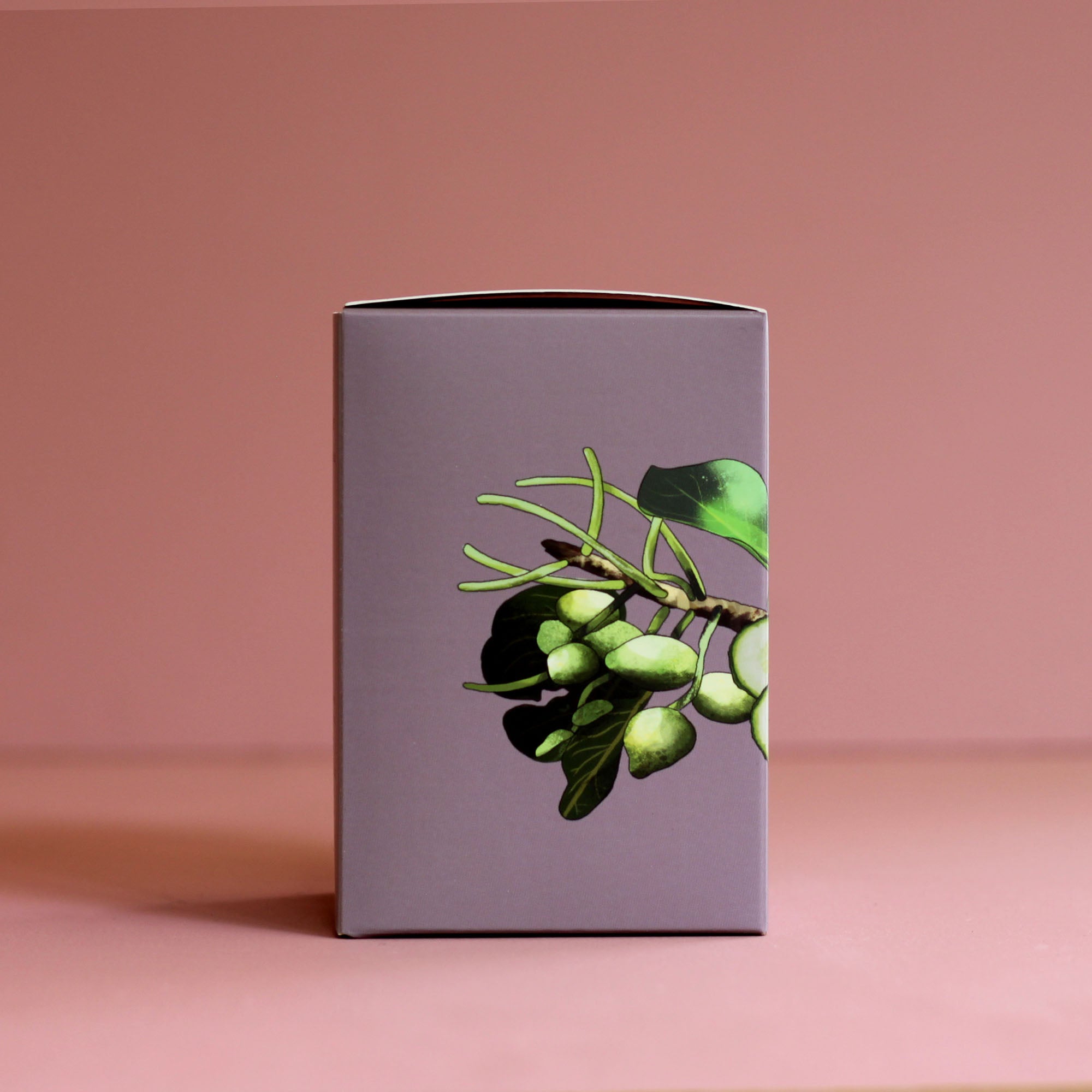 Australiana: Kakadu Plum & Cucumber Scented Candle - Ivy & Wood