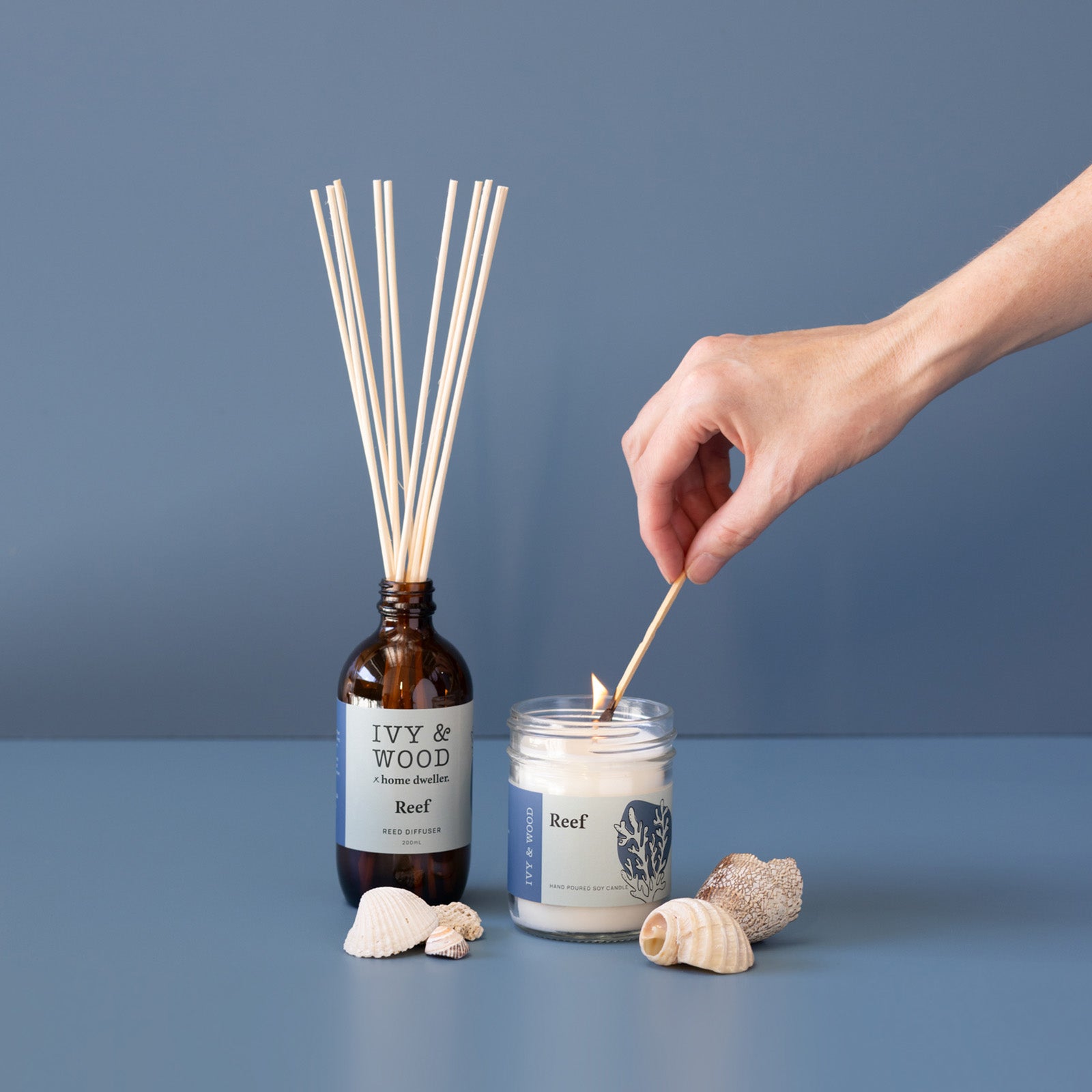 Homebody: Reef Scented Candle - Ivy & Wood