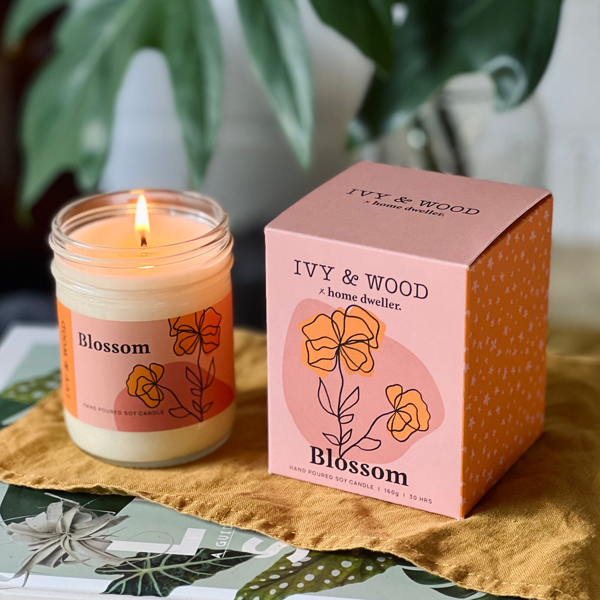 Homebody: Blossom Scented Candle - Ivy & Wood