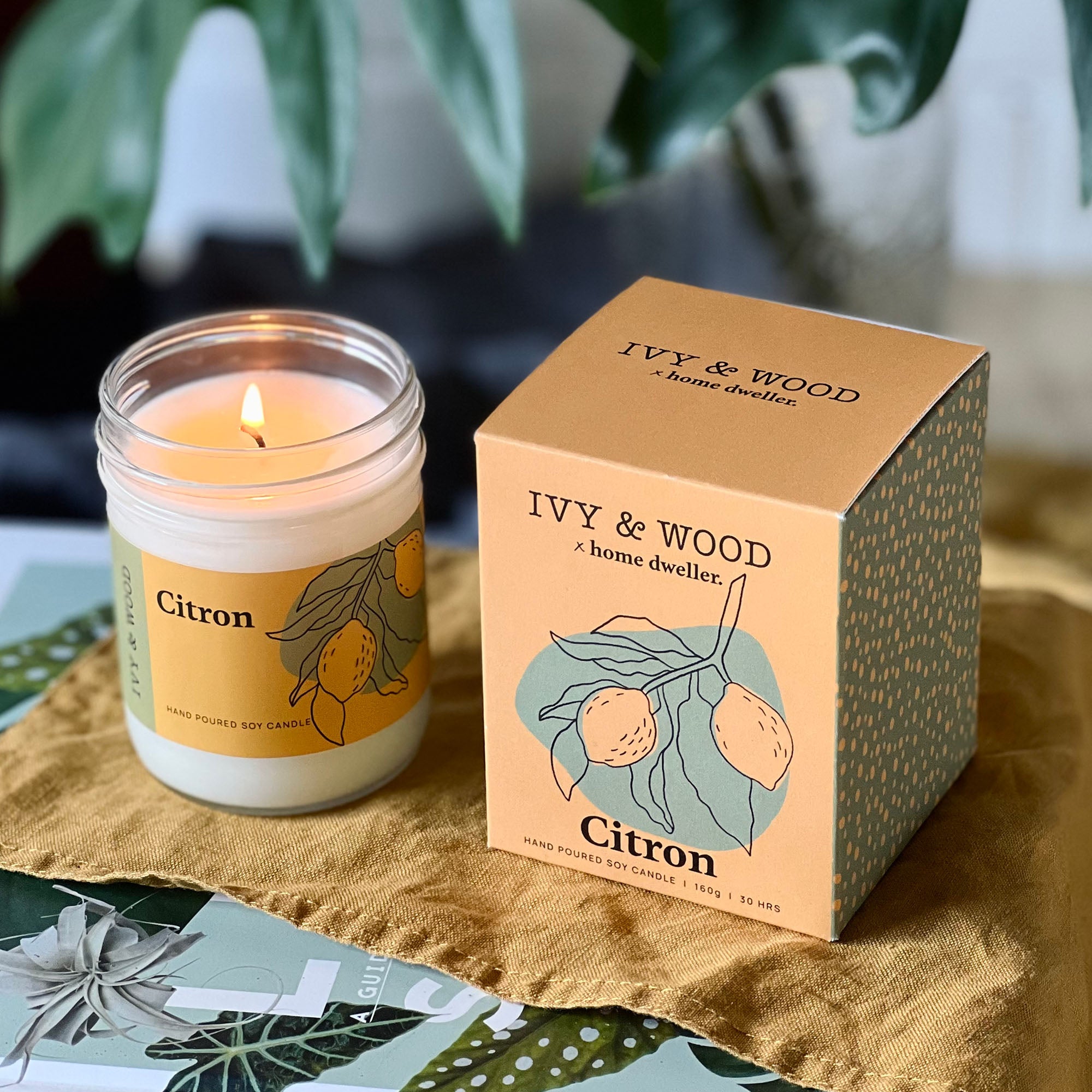 Homebody: Citron Scented Candle - Ivy & Wood