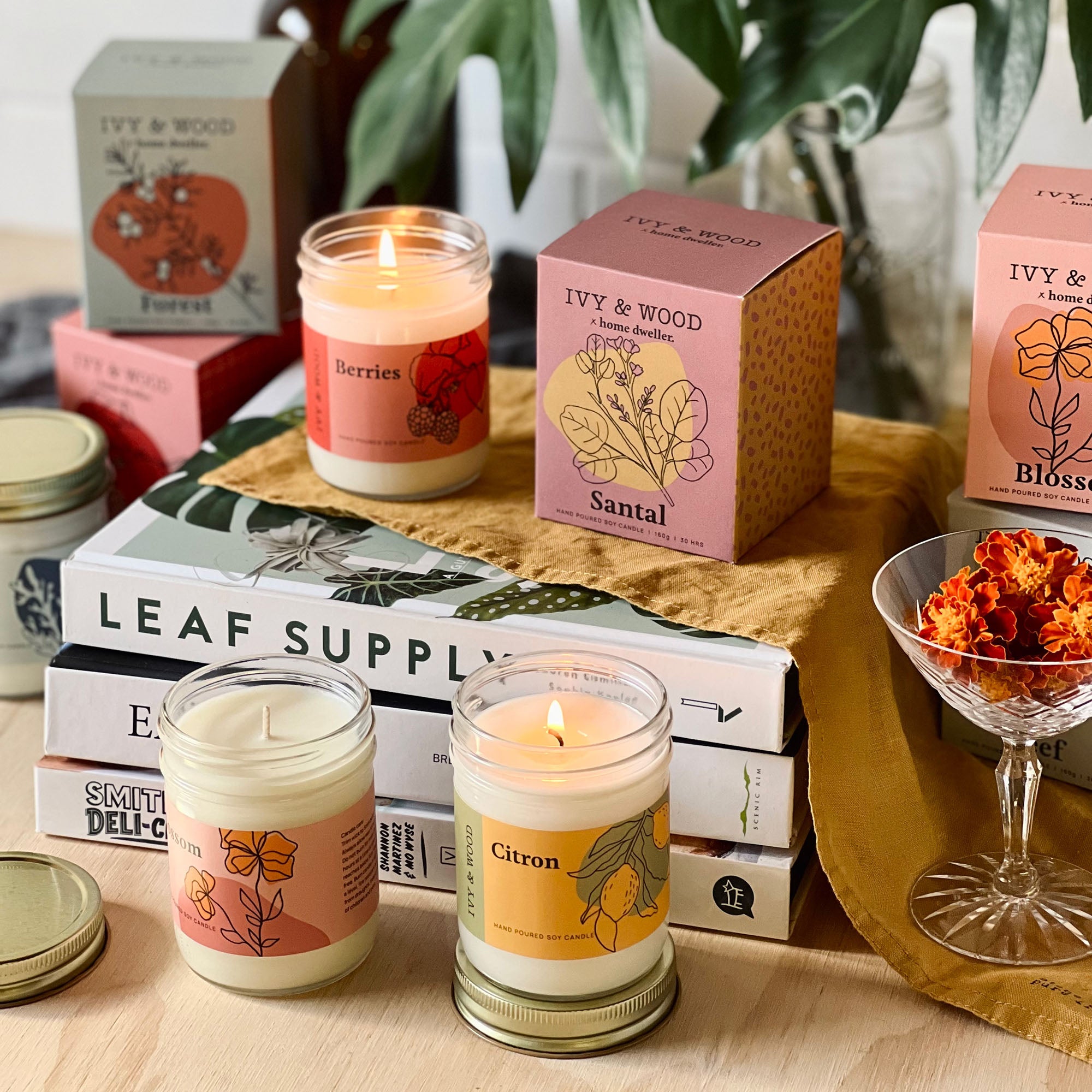 Homebody: Santal Scented Candle - Ivy & Wood