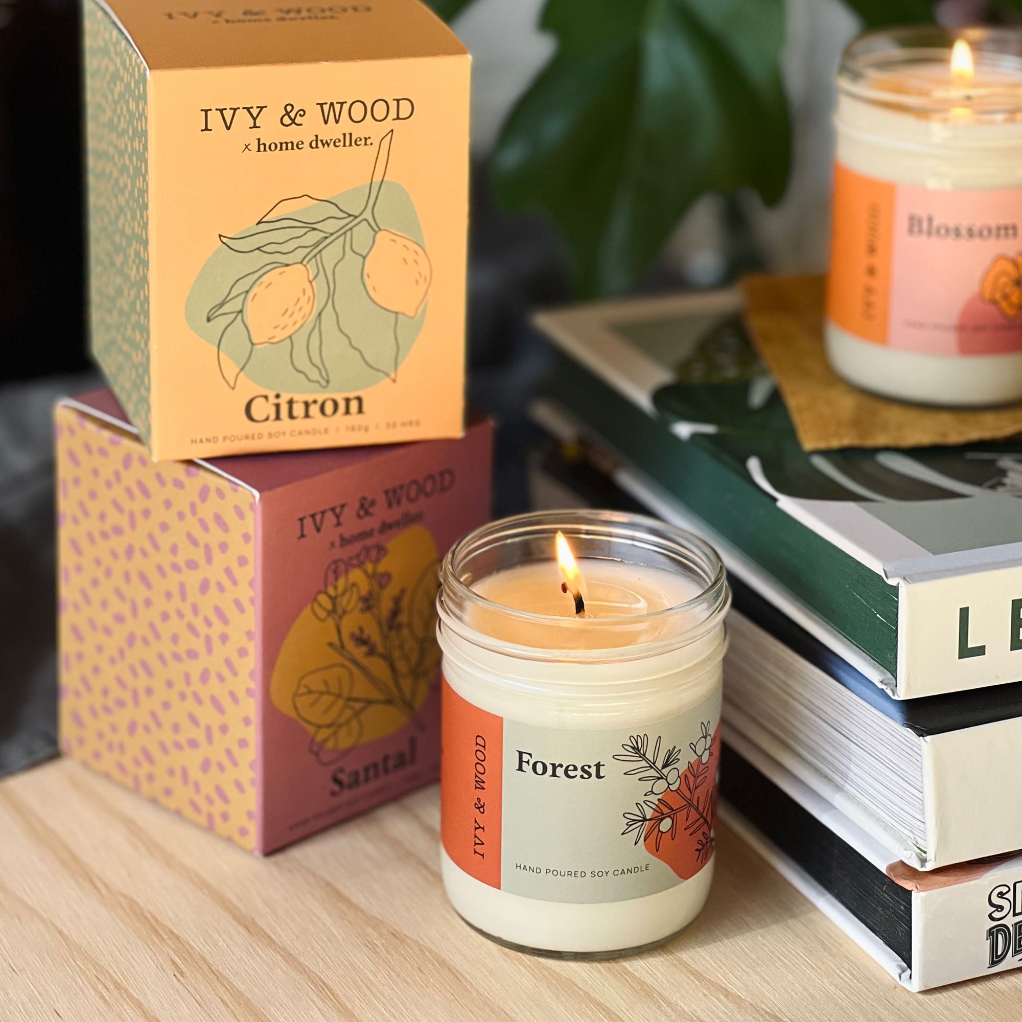 Homebody: Forest Scented Candle - Ivy & Wood