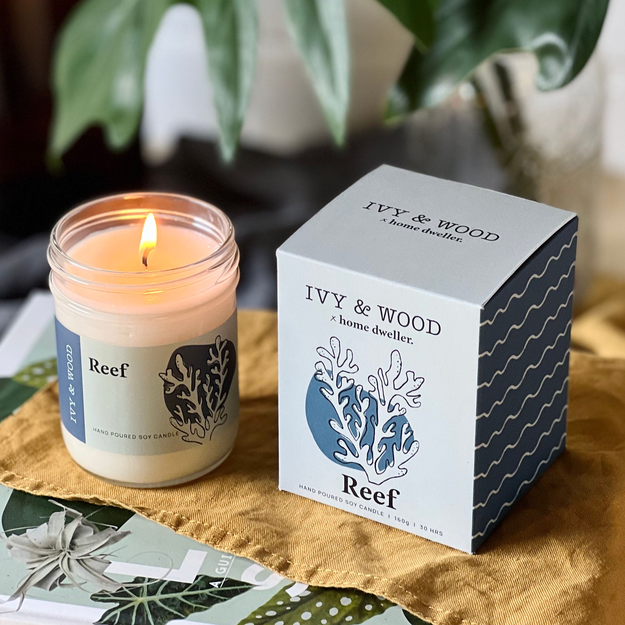 Homebody: Reef Scented Candle - Ivy & Wood