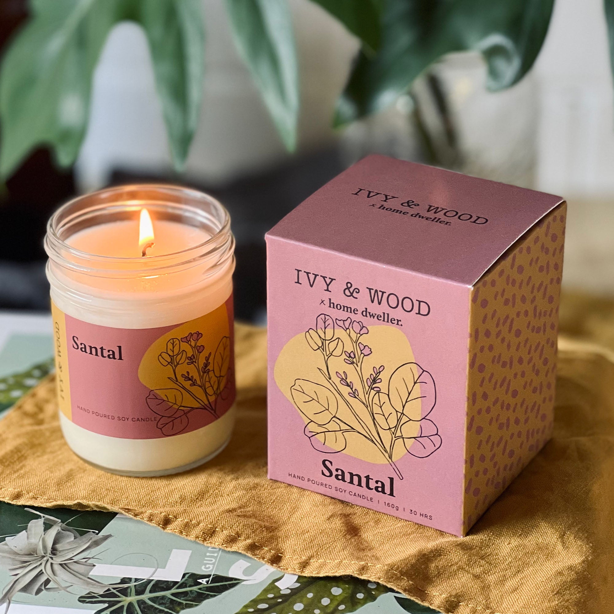 Homebody: Santal Scented Candle - Ivy & Wood