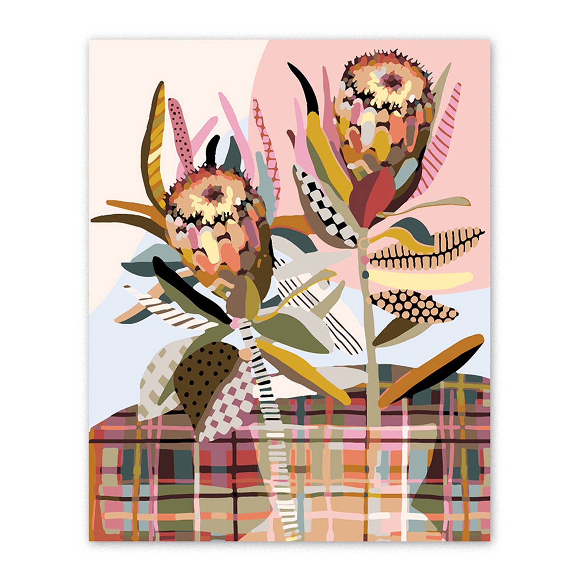 Two Proteas - Paint by Numbers Kit