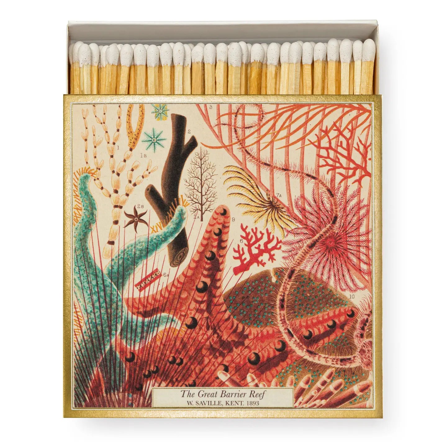 Great Barrier Reef Luxury Matches by Archivist Gallery