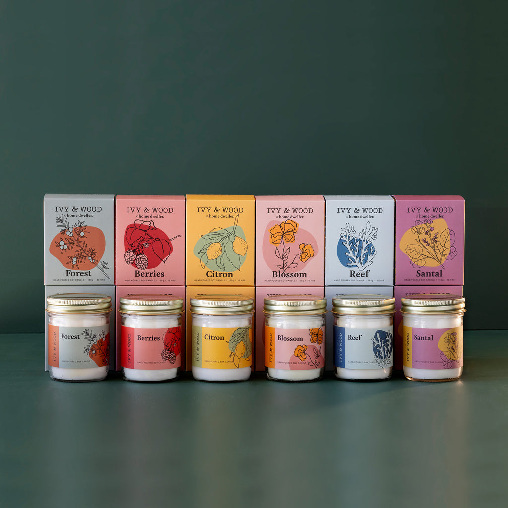 Homebody: The Entire Candle Collection