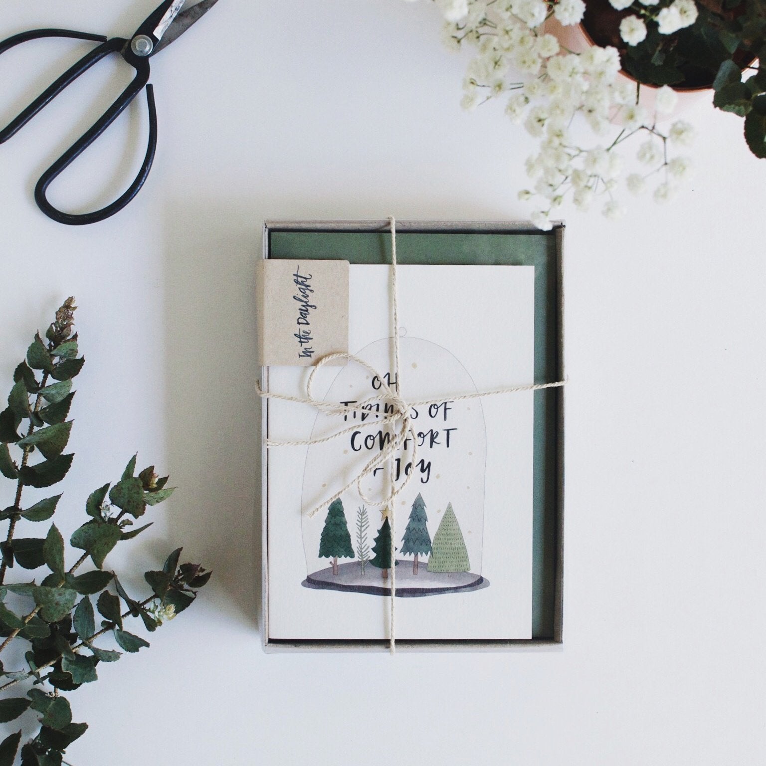 Christmas Terrarium Greeting Card by In The Daylight - Ivy & Wood